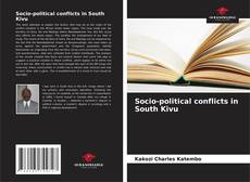 Обложка Socio-political conflicts in South Kivu