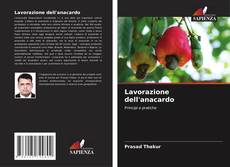 Portada del libro de Lavorazione dell'anacardo