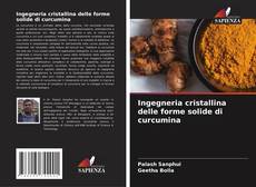 Buchcover von Ingegneria cristallina delle forme solide di curcumina