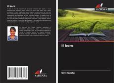 Buchcover von Il boro