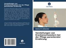 Copertina di Vorstellungen von Krankenschwestern bei der Pflege parenteraler Ernährung