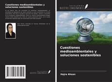 Cuestiones medioambientales y soluciones sostenibles kitap kapağı