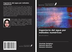 Buchcover von Ingeniería del agua por métodos numéricos