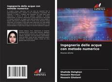 Capa do livro de Ingegneria delle acque con metodo numerico 