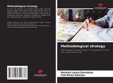 Bookcover of Methodological strategy