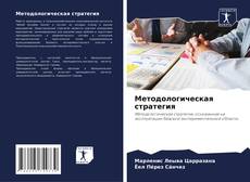 Buchcover von Методологическая стратегия