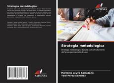 Capa do livro de Strategia metodologica 