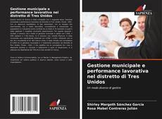 Buchcover von Gestione municipale e performance lavorativa nel distretto di Tres Unidos