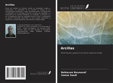 Portada del libro de Arcillas