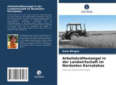 Capa do livro de Arbeitskräftemangel in der Landwirtschaft im Nordosten Karnatakas 