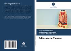 Odontogene Tumore kitap kapağı