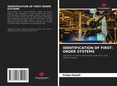 IDENTIFICATION OF FIRST-ORDER SYSTEMS kitap kapağı