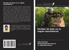 Copertina di Heridas de bala en la región maxilofacial