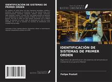 Bookcover of IDENTIFICACIÓN DE SISTEMAS DE PRIMER ORDEN
