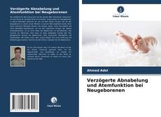 Portada del libro de Verzögerte Abnabelung und Atemfunktion bei Neugeborenen