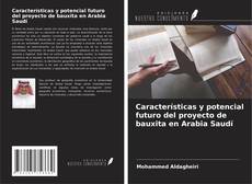 Características y potencial futuro del proyecto de bauxita en Arabia Saudí kitap kapağı