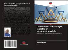 Portada del libro de Cameroun : Un triangle instable et incompréhensible