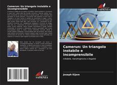 Portada del libro de Camerun: Un triangolo instabile e incomprensibile