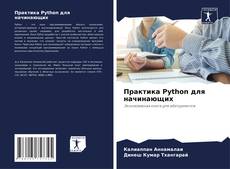 Buchcover von Практика Python для начинающих