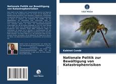 Capa do livro de Nationale Politik zur Bewältigung von Katastrophenrisiken 