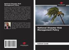 Capa do livro de National Disaster Risk Management Policy 