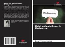 Bookcover of Metal and metalheads in Madagascar