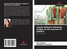 Bookcover of Liquid effluent filtration sludge at the service of pottery