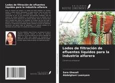 Copertina di Lodos de filtración de efluentes líquidos para la industria alfarera