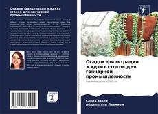 Capa do livro de Осадок фильтрации жидких стоков для гончарной промышленности 