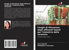 Bookcover of Fanghi di filtrazione degli effluenti liquidi per l'industria della ceramica