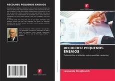 RECOLHEU PEQUENOS ENSAIOS kitap kapağı