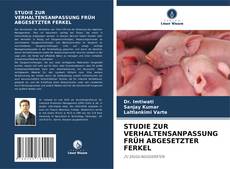 Copertina di STUDIE ZUR VERHALTENSANPASSUNG FRÜH ABGESETZTER FERKEL