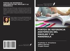 Capa do livro de PUNTOS DE REFERENCIA ANATÓMICOS DEL MAXILAR Y LA MANDÍBULA 