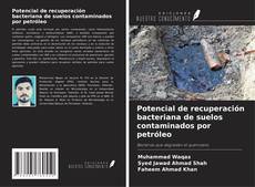 Potencial de recuperación bacteriana de suelos contaminados por petróleo kitap kapağı