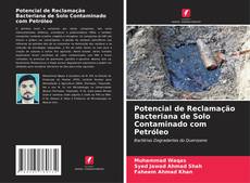 Potencial de Reclamação Bacteriana de Solo Contaminado com Petróleo的封面