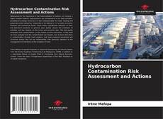 Buchcover von Hydrocarbon Contamination Risk Assessment and Actions