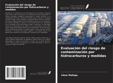 Buchcover von Evaluación del riesgo de contaminación por hidrocarburos y medidas