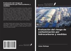 Evaluación del riesgo de contaminación por hidrocarburos y medidas的封面