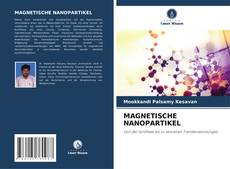 MAGNETISCHE NANOPARTIKEL kitap kapağı