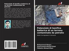 Copertina di Potenziale di bonifica batterica di un terreno contaminato da petrolio