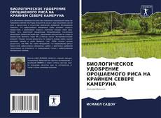 Bookcover of БИОЛОГИЧЕСКОЕ УДОБРЕНИЕ ОРОШАЕМОГО РИСА НА КРАЙНЕМ СЕВЕРЕ КАМЕРУНА