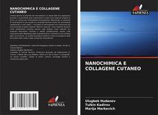 Buchcover von NANOCHIMICA E COLLAGENE CUTANEO