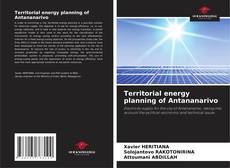 Territorial energy planning of Antananarivo kitap kapağı