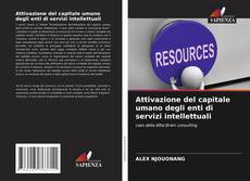 Attivazione del capitale umano degli enti di servizi intellettuali kitap kapağı