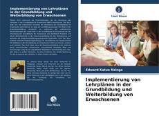 Implementierung von Lehrplänen in der Grundbildung und Weiterbildung von Erwachsenen kitap kapağı