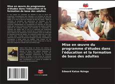 Bookcover of Mise en œuvre du programme d'études dans l'éducation et la formation de base des adultes
