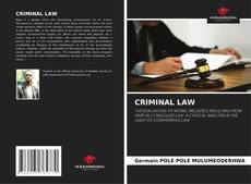 Borítókép a  CRIMINAL LAW - hoz