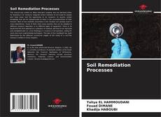 Borítókép a  Soil Remediation Processes - hoz