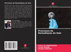 Processos de Remediação do Solo的封面