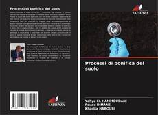 Copertina di Processi di bonifica del suolo